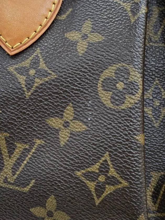 2WAY Monogram Palermo PM Tote Bag M40145