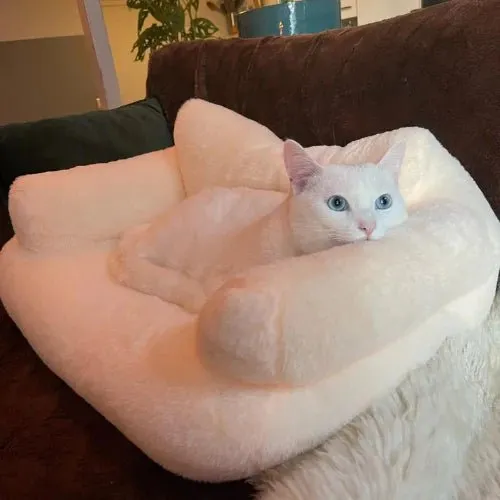Gentle Paws™ Cat Luxury Sofa
