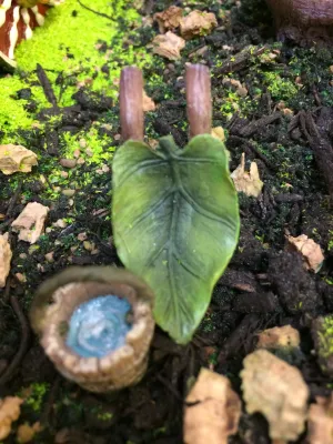 Leaf wheelbarrow and bucket