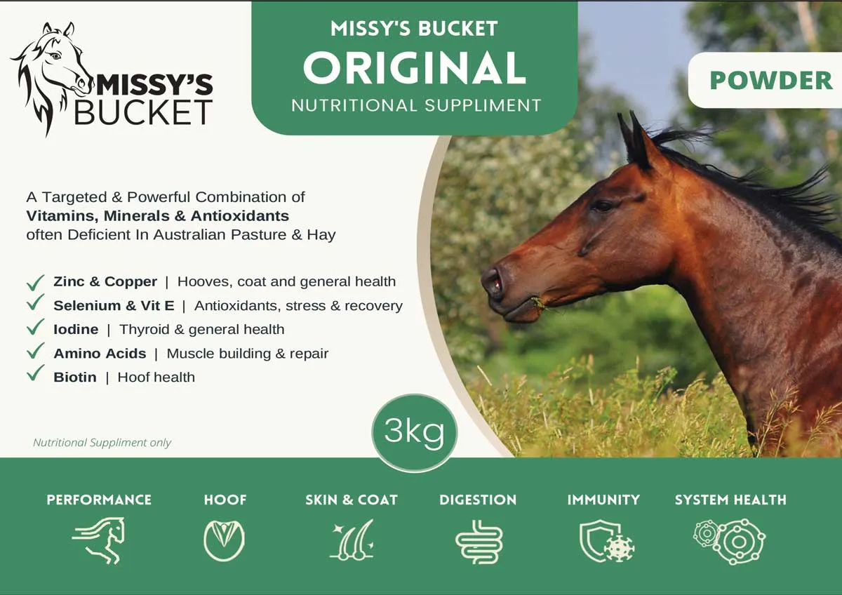 Missy's Bucket Original Powder